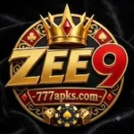 Zee9 game logo