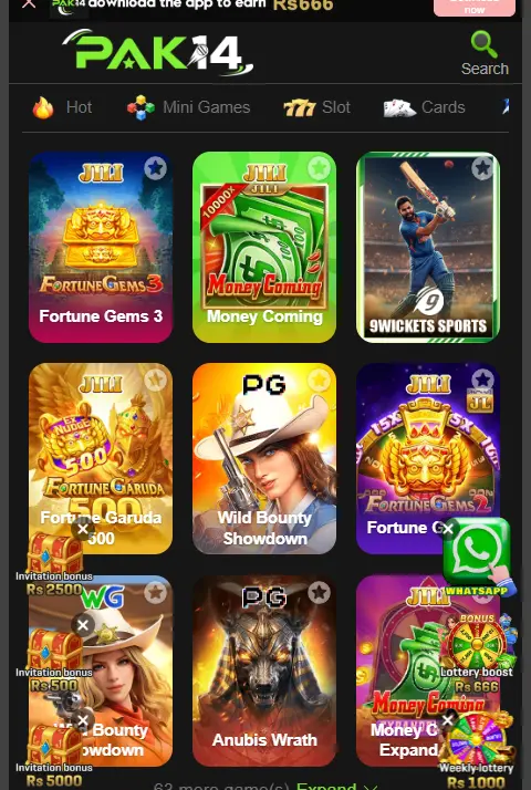 PAK14 Game screenshort 2