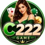 C222 Game logo image